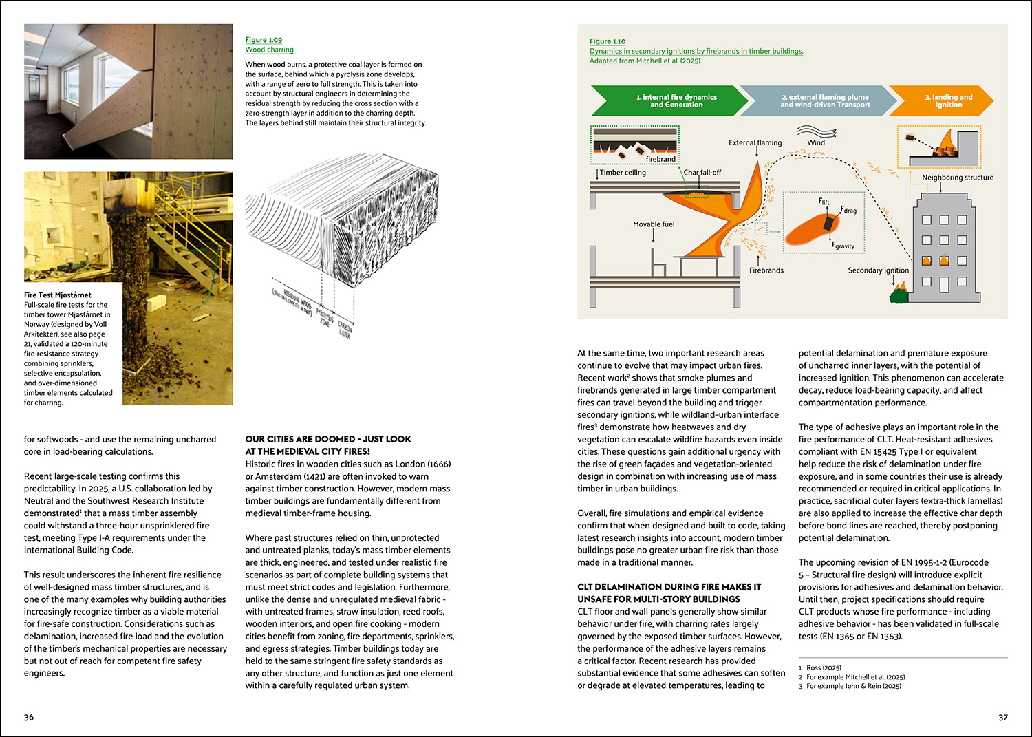 The Timber Truth - Image 5