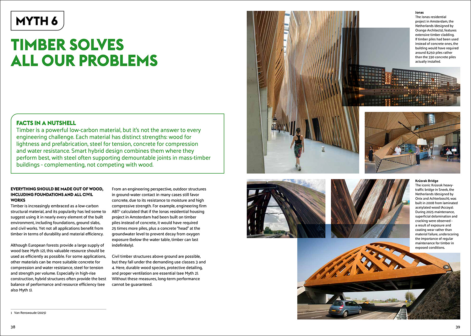 The Timber Truth - Image 6