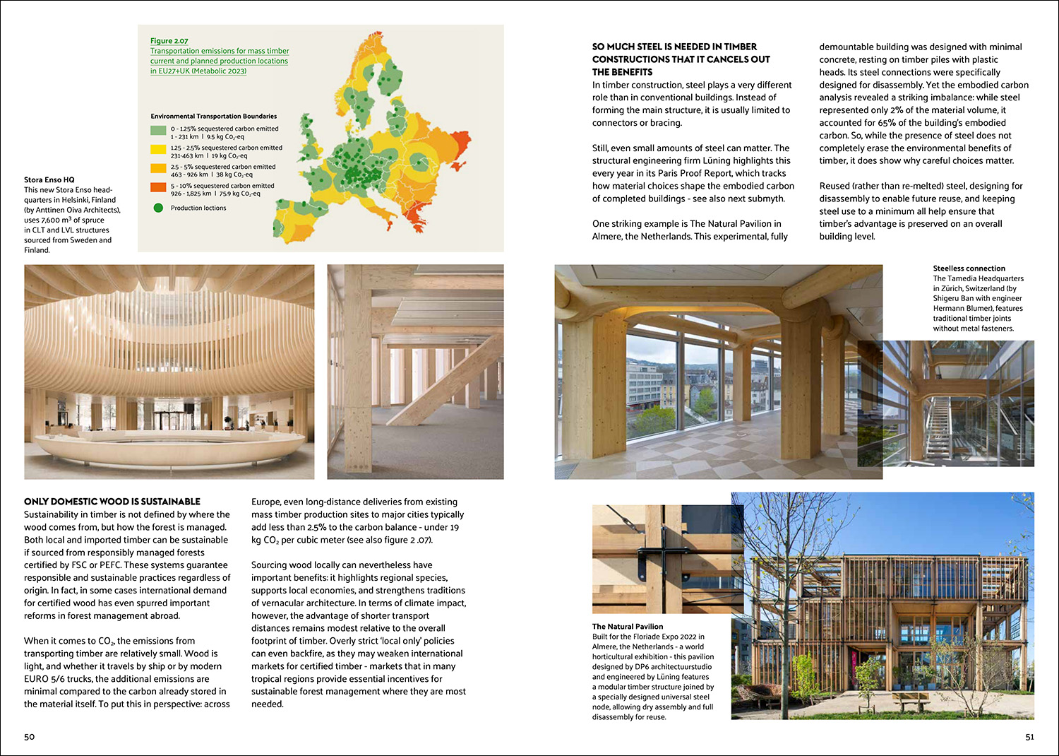 The Timber Truth - Image 7